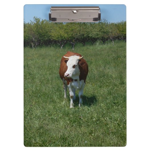 Porte-bloc Vache dans le pâturage (Devant)