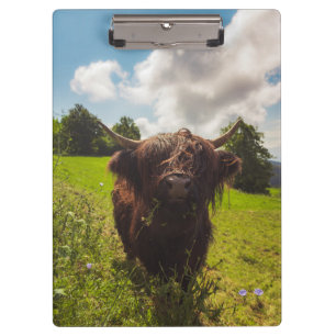 Porte-bloc Vache noire pâturage vert champ soleil