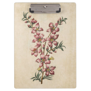 Porte-bloc Vintage fleur d'amandes végétales