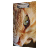 Porte-bloc Visage déterminé d'un chat de gingembre (Gauche)