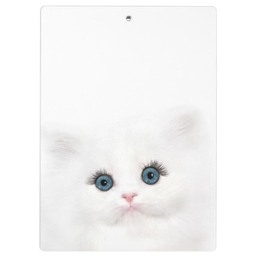 Porte-bloc Visage persan blanc de chaton observé par bleu (Dos)
