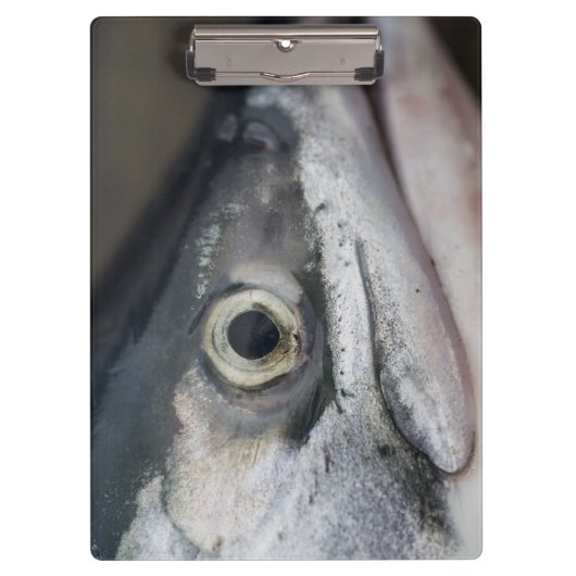 Porte-bloc Visage Saumon argenté (Devant)