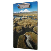 Porte-bloc Volcan de Payachalas (Gauche)