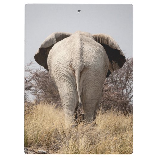 Porte-bloc Vue arrière de l'éléphant (Dos)