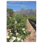 Porte-bloc Vue des vignobles. Stellenbosch (Dos)