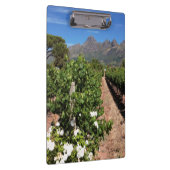 Porte-bloc Vue des vignobles. Stellenbosch (Swatch)