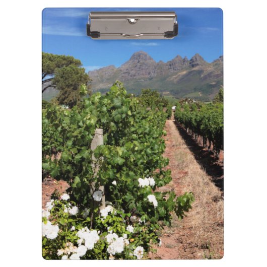 Porte-bloc Vue des vignobles. Stellenbosch (Devant)