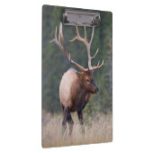 Porte-bloc Wapiti des montagnes Rocheuses (Swatch)