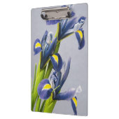Porte-bloc Washington, Redmond, Iris violets (Gauche)