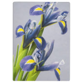 Porte-bloc Washington, Redmond, Iris violets (Dos)