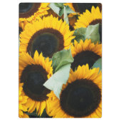 Porte-bloc Washington, Seattle, Tournesol en vente de brochet (Dos)