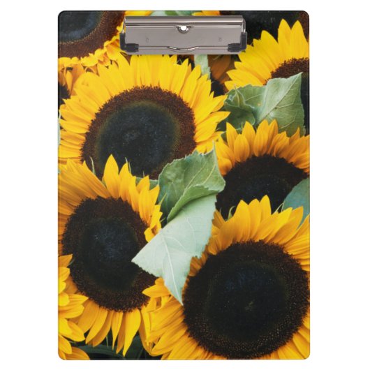 Porte-bloc Washington, Seattle, Tournesol en vente de brochet (Devant)