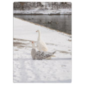 Porte-bloc Whats Up Goose (Dos)