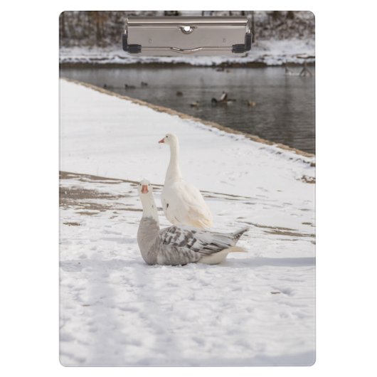 Porte-bloc Whats Up Goose (Devant)