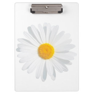 Porte-bloc White