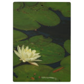 Porte-bloc White Waterlily I Peaceful (Dos)