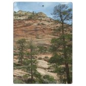 Porte-bloc Worn Rock Walls dans le Parc national de Sion (Dos)