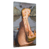 Porte-bloc Yawning hippo, Tanzanie (Swatch)