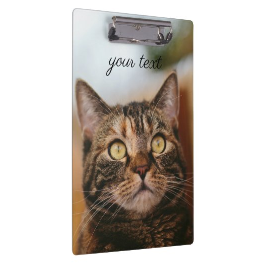 Porte-bloc Yeux de chat (Swatch)