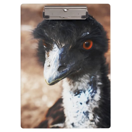 Porte-bloc Yeux perçants de l'Outback (Devant)