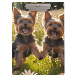 Porte-bloc Yorkshire Terriers Jouer dans l'herbe