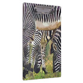 PORTE-BLOC ZEBRAS (Swatch)