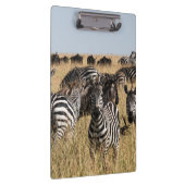 Porte-bloc Zèbre de Grant (Swatch)