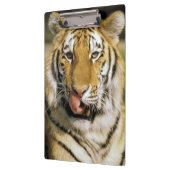 Porte-bloc Zoo de Tiger Michigan (Gauche)