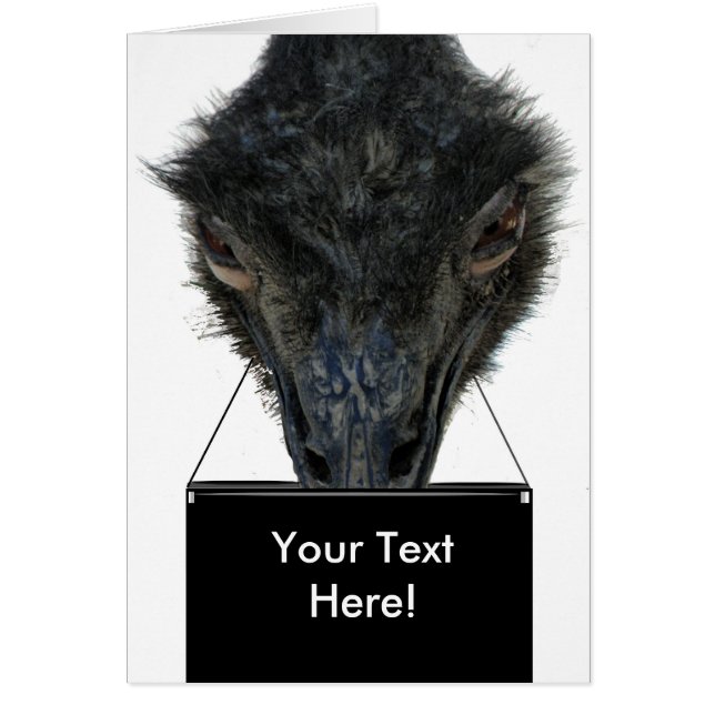 Porte-carte Emu ZIZAGO (Devant)