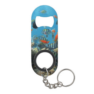 Porte-clé Décapsuleur Chaos tropical de poissons