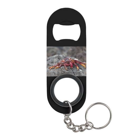 Porte-clé Décapsuleur Crabe rouge (Dos)