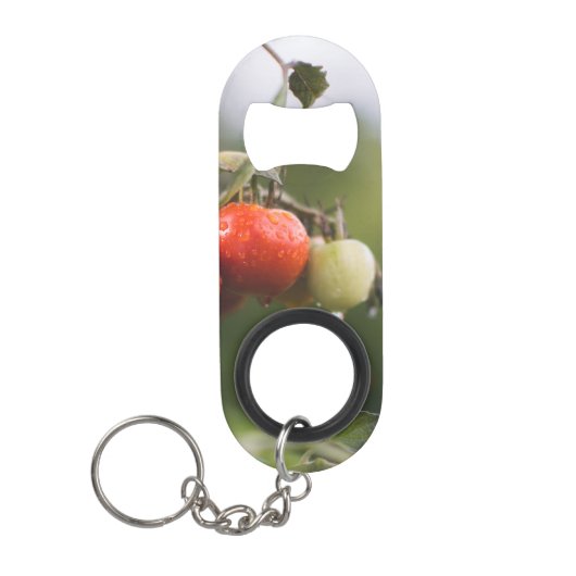 Porte-clé Décapsuleur tomates mouillées sur la vigne (Devant)