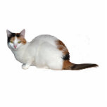 Porte-clé Photo Sculpture Calico Cat<br><div class="desc">Un porte - clé 3D d'un chat calico</div>