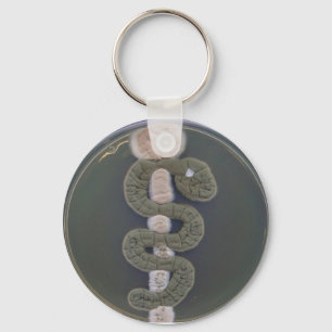 Porte-clefs avec symbole de la médecine