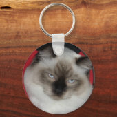 PORTE-CLÉS 2009_12090051 (Recto)