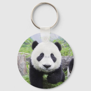 Porte-clés 20_baby_animal (9) CUTE PANDA CUB ANIMAUX SAUVAGES