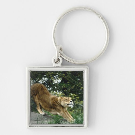 PORTE-CLÉS 24114343 (Devant)