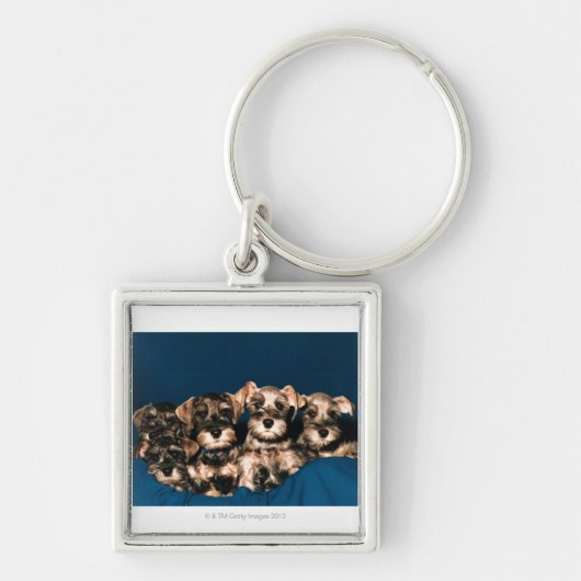 PORTE-CLÉS 24117057 (Devant)