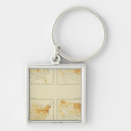 Porte-clés 26 Migration inter-États 1 890 MEMS (Devant)