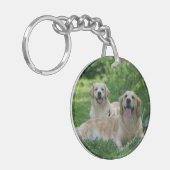 Porte-clés 2 chiens d'arrêt d'or s'étendant dans l'herbe (Devant gauche)