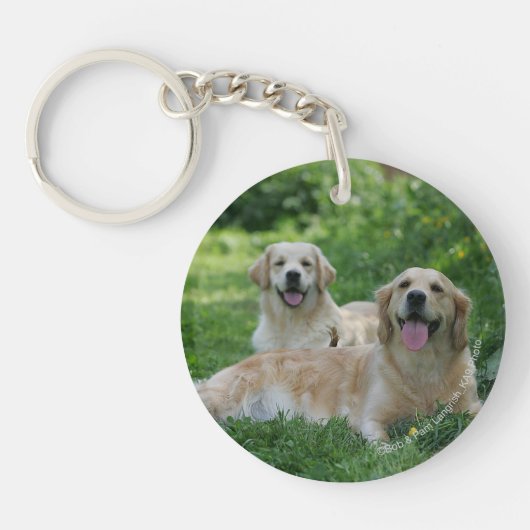 Porte-clés 2 chiens d'arrêt d'or s'étendant dans l'herbe (Devant)