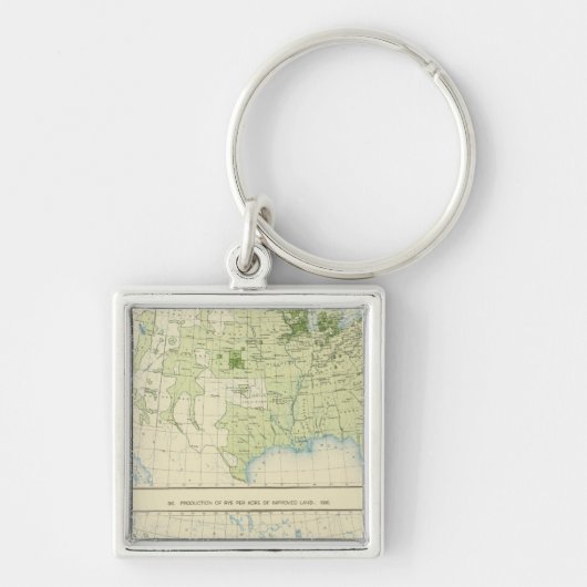 Porte-clés 49 Rye 1890 (Devant)