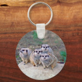 Porte-clés 4 Meerkats Porte - clé (Recto)