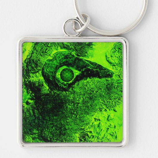 Porte-clés à la recherche de vert (Devant)