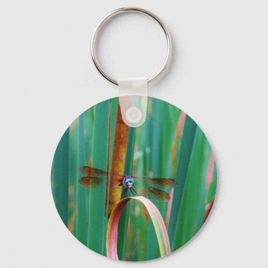 Porte-clés A teal Eyed Dragonfly with cattails (Recto)