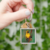 Porte-clés A Village Weaver calling while perched on a reed (main)
