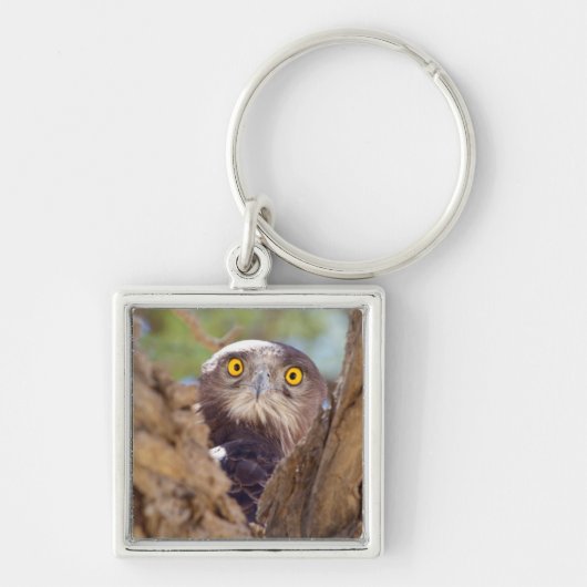 Porte-clés A White Breasted Snake (Devant)