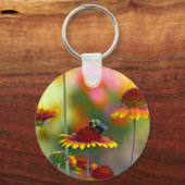 Porte-clés Abee sur Gaillardia (Recto)