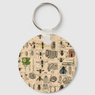 Porte-clés Abeille Insecte Bug Wasp Histoire naturelle abeill