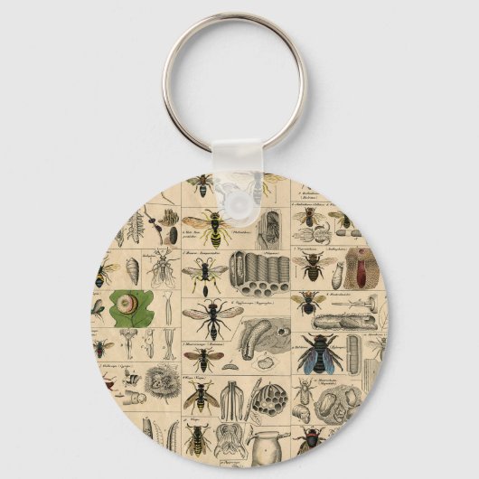 Porte-clés Abeille Insecte Bug Wasp Histoire naturelle abeill (Recto)